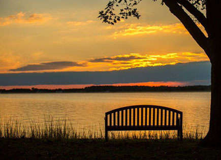 Come and relaxe in Talbot County
