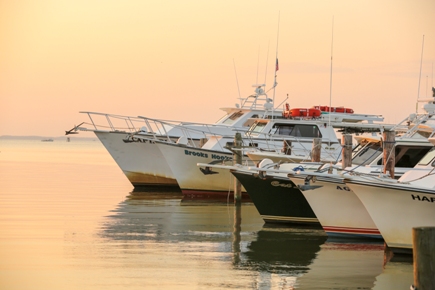 A feelt of fishing boats sit ready to take anglers out to fish the Chesapeake Bay in Talbot County, Maryland.