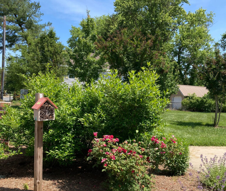 Trappe Talbot County, Maryland